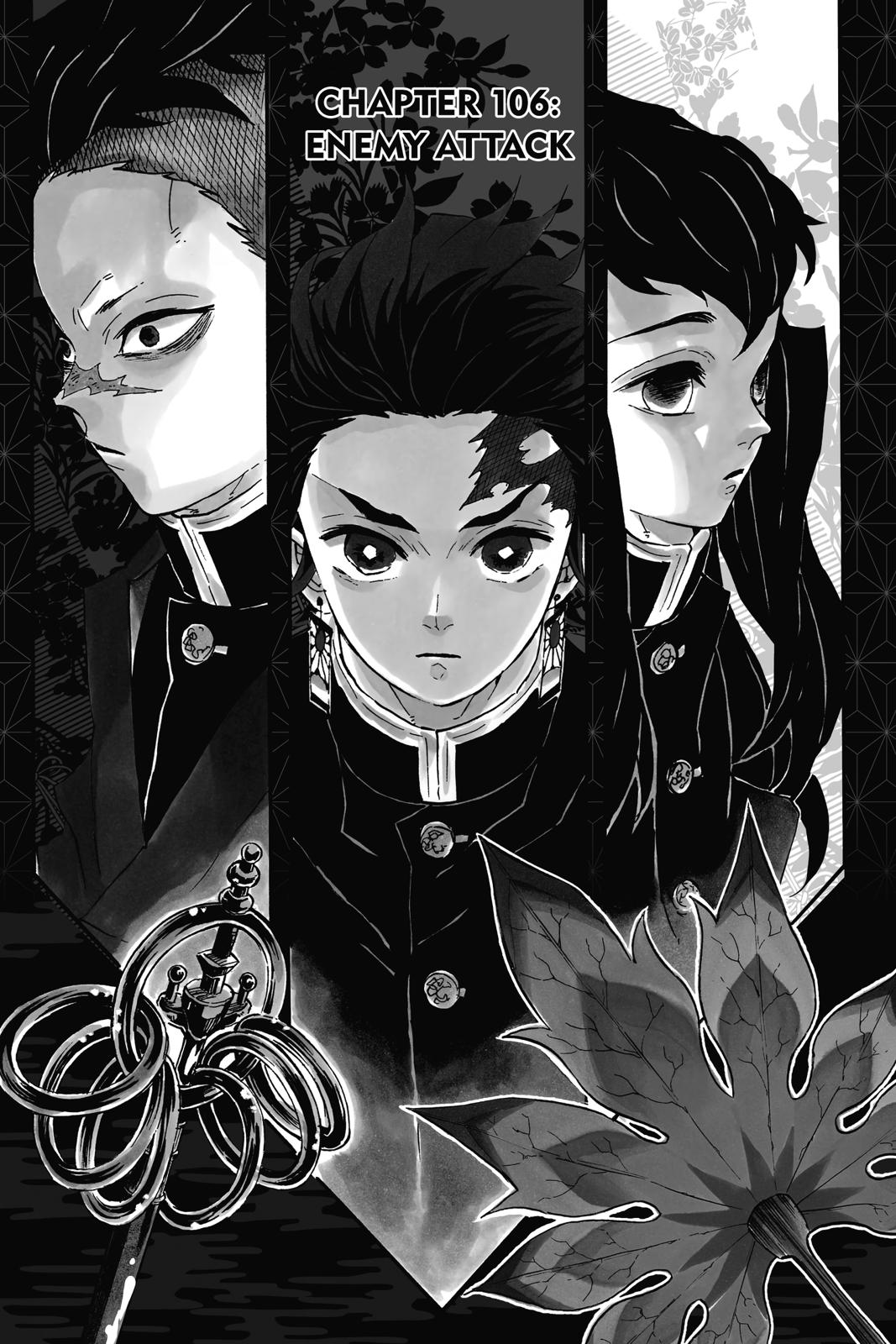 Read Demon Slayer Manga Online