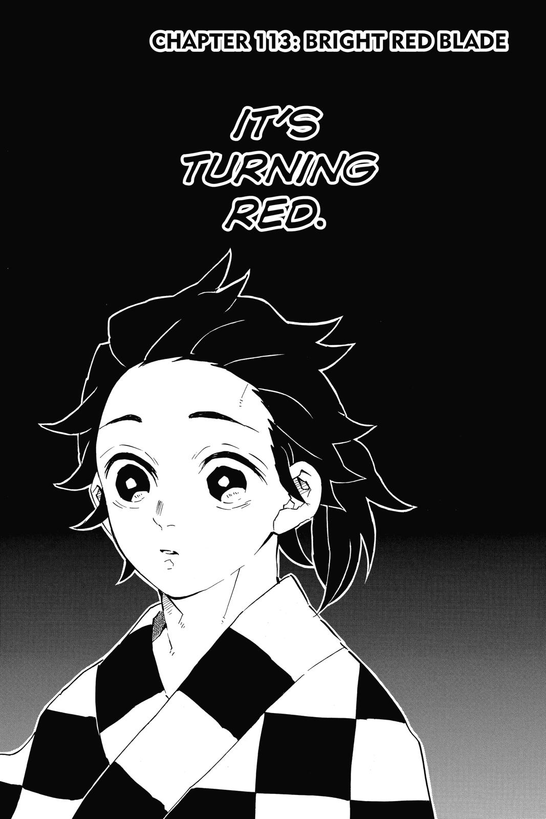 Read Demon Slayer Manga Online