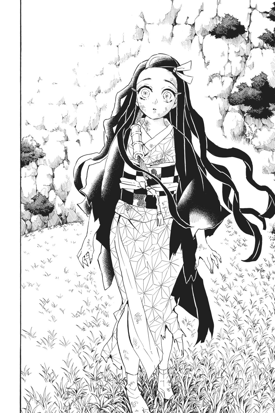 Read Demon Slayer Manga Online