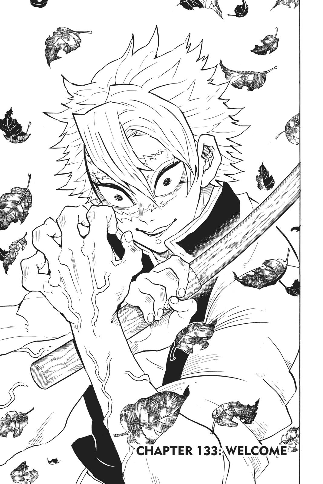 Read Demon Slayer Manga Online