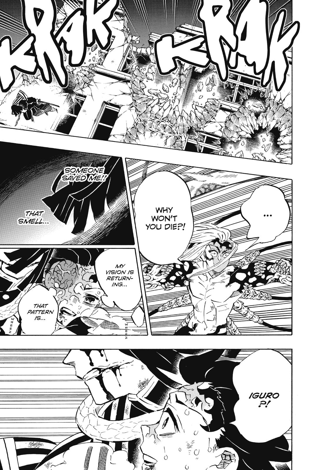 Read Demon Slayer Manga Online