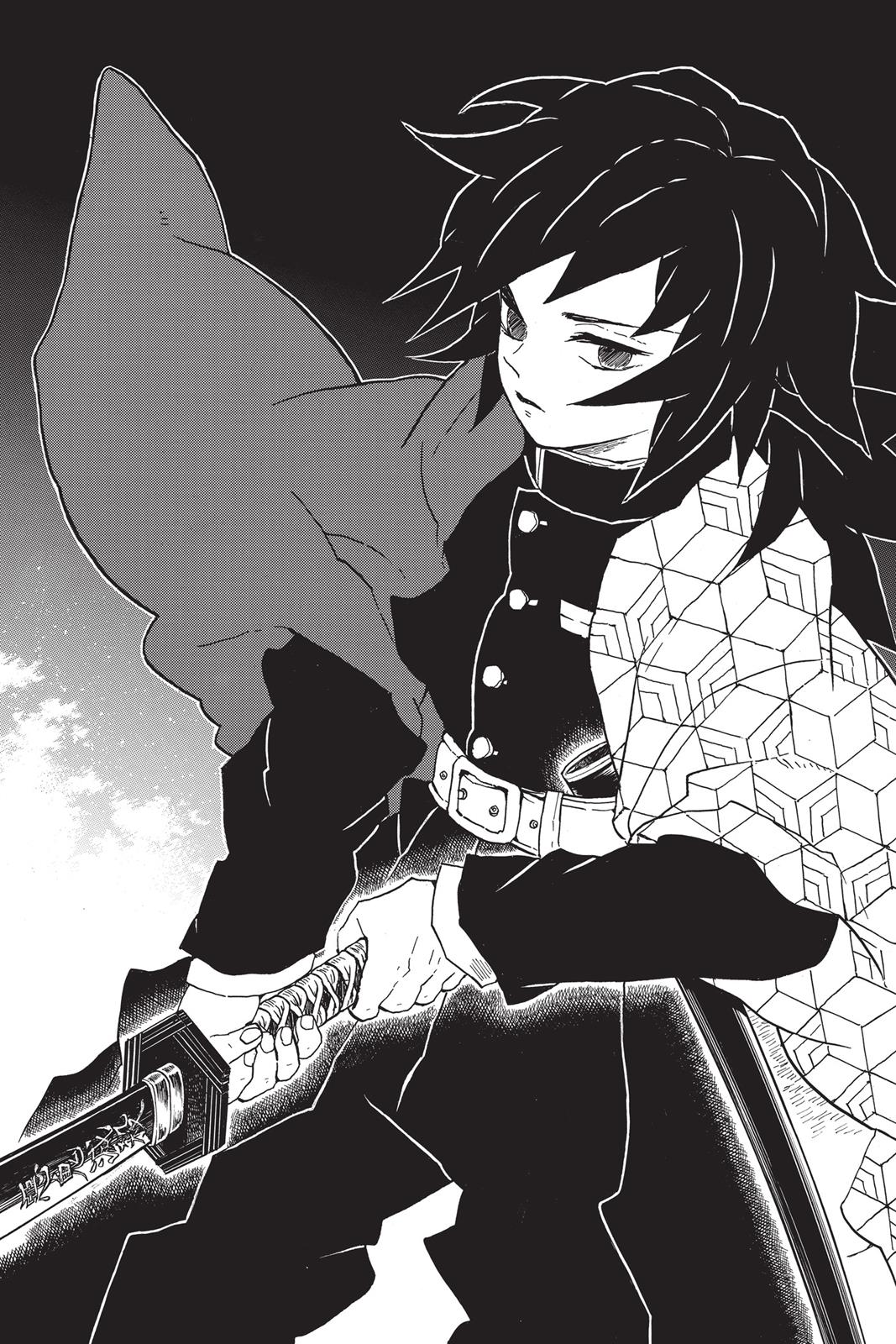 Read Demon Slayer Manga Online