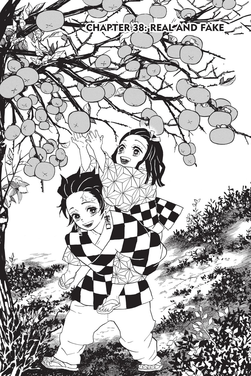 Read Demon Slayer Manga Online