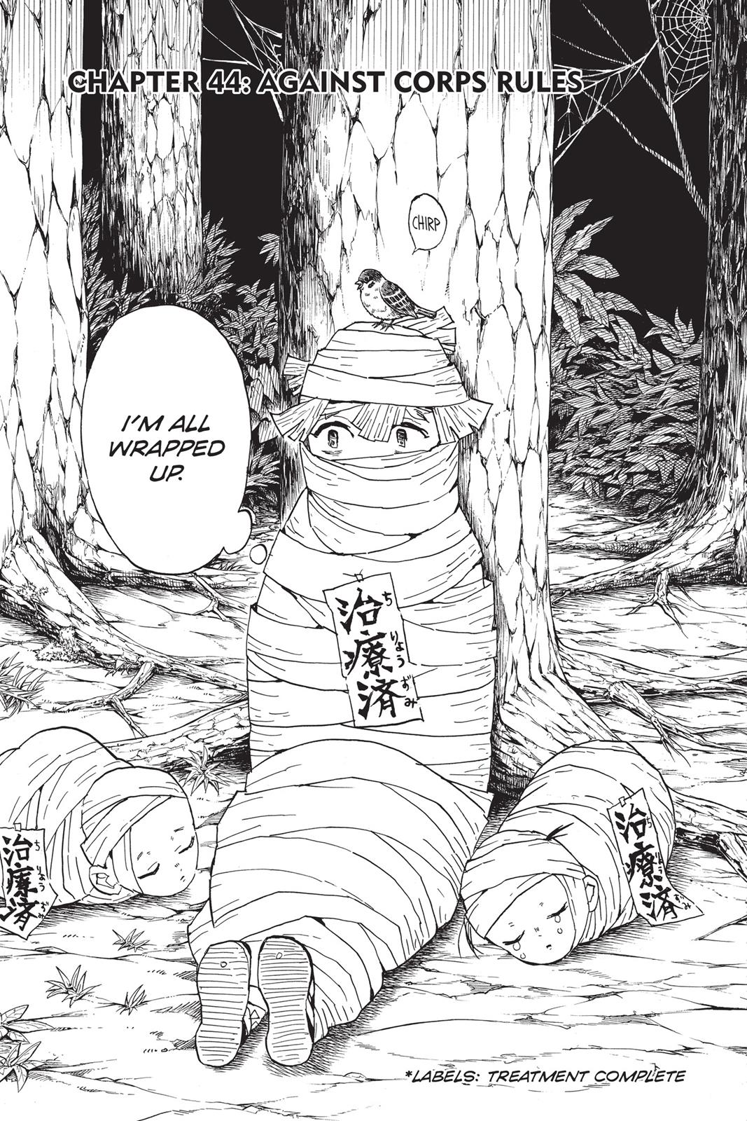 Read Demon Slayer Manga Online