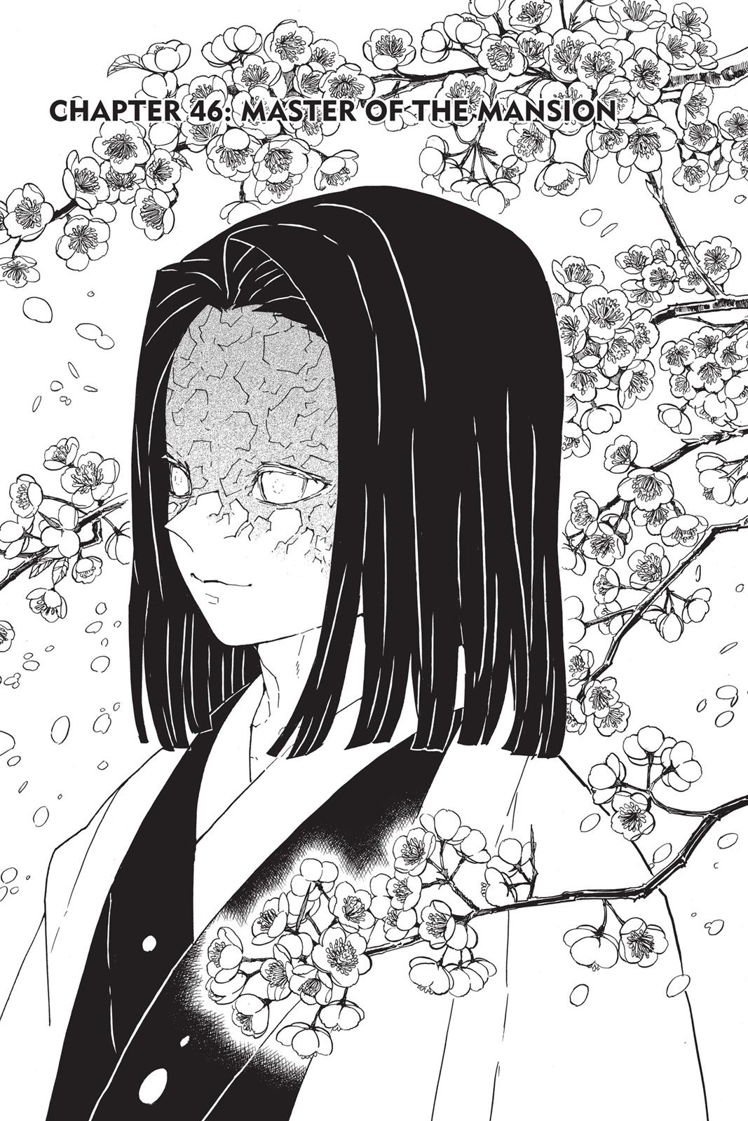 Read Demon Slayer Manga Online