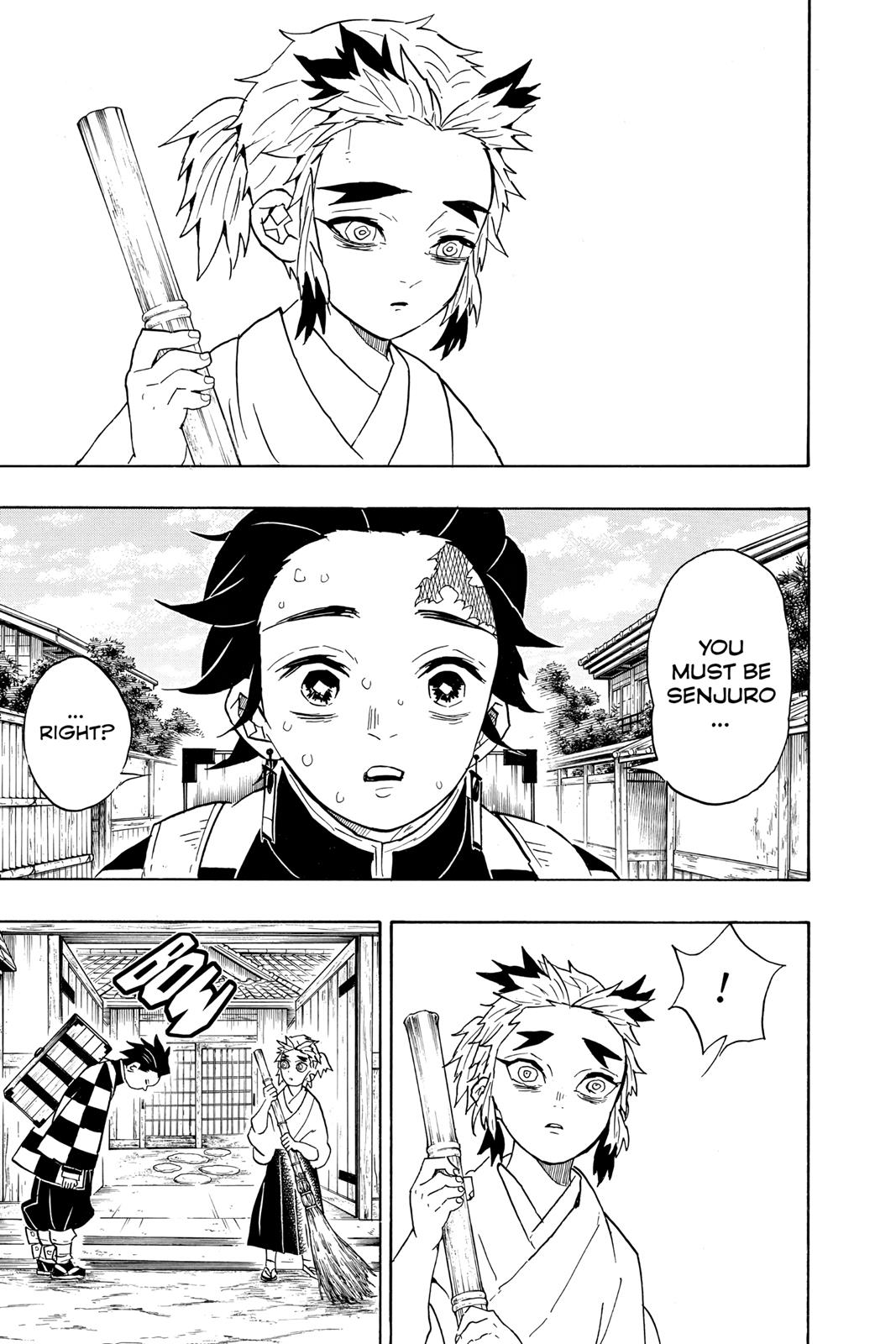 Read Demon Slayer Manga Online