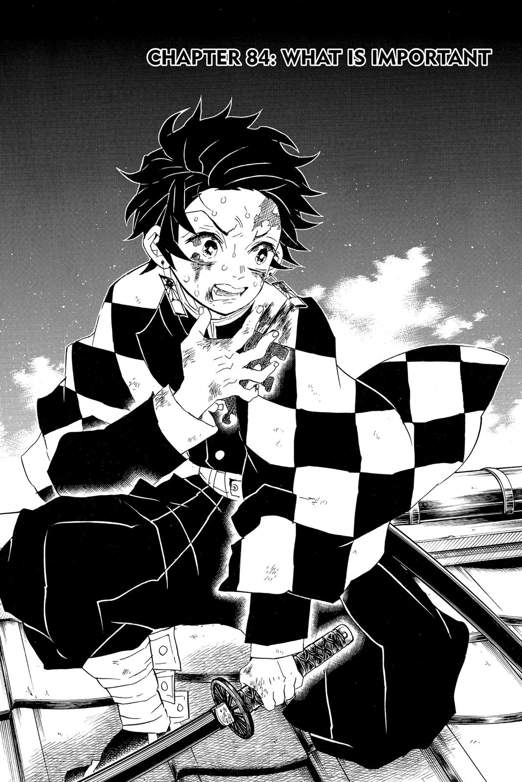Read Demon Slayer Manga Online