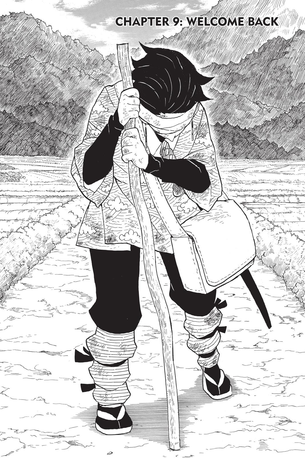 Read Demon Slayer Manga Online