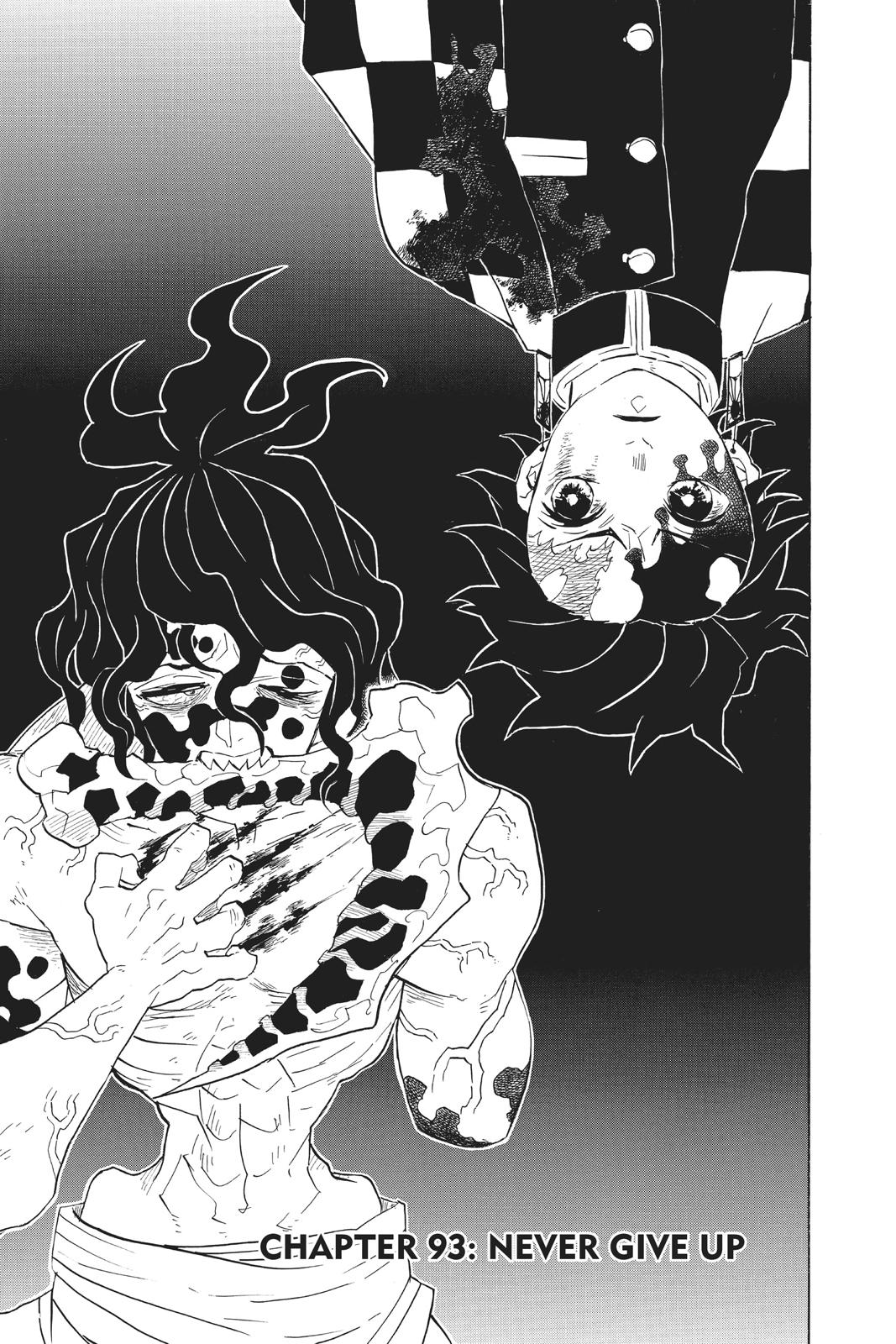 Read Demon Slayer Manga Online