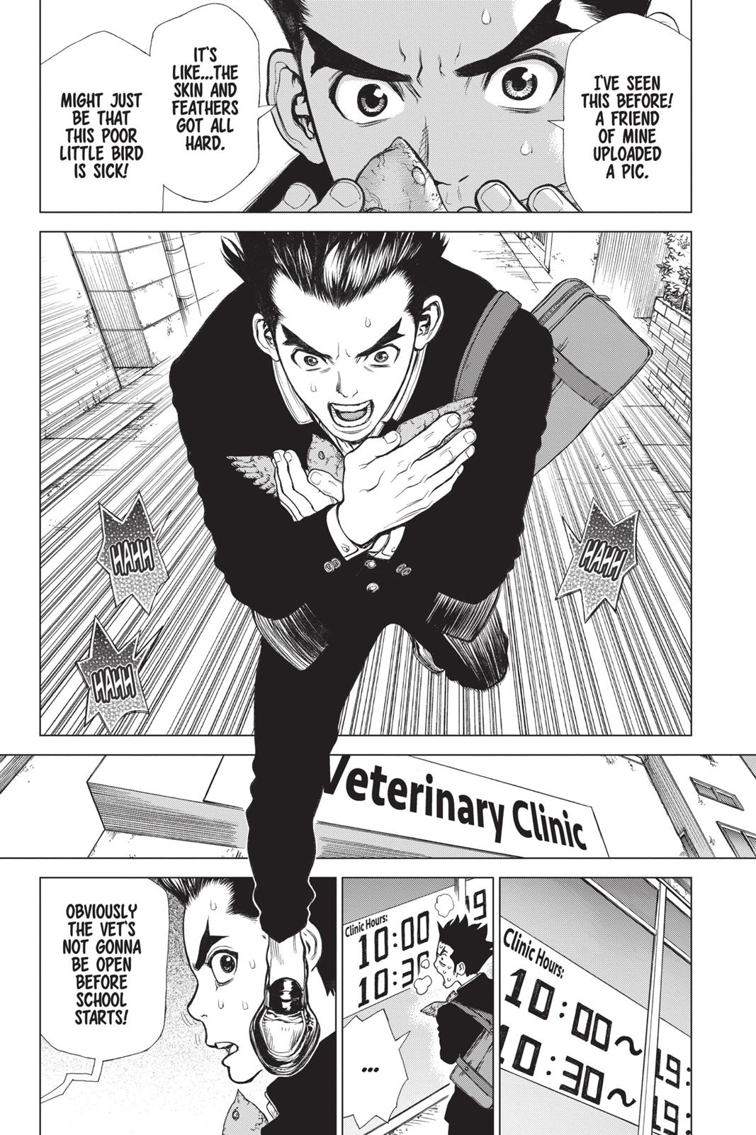 Read Dr STONE Manga Online