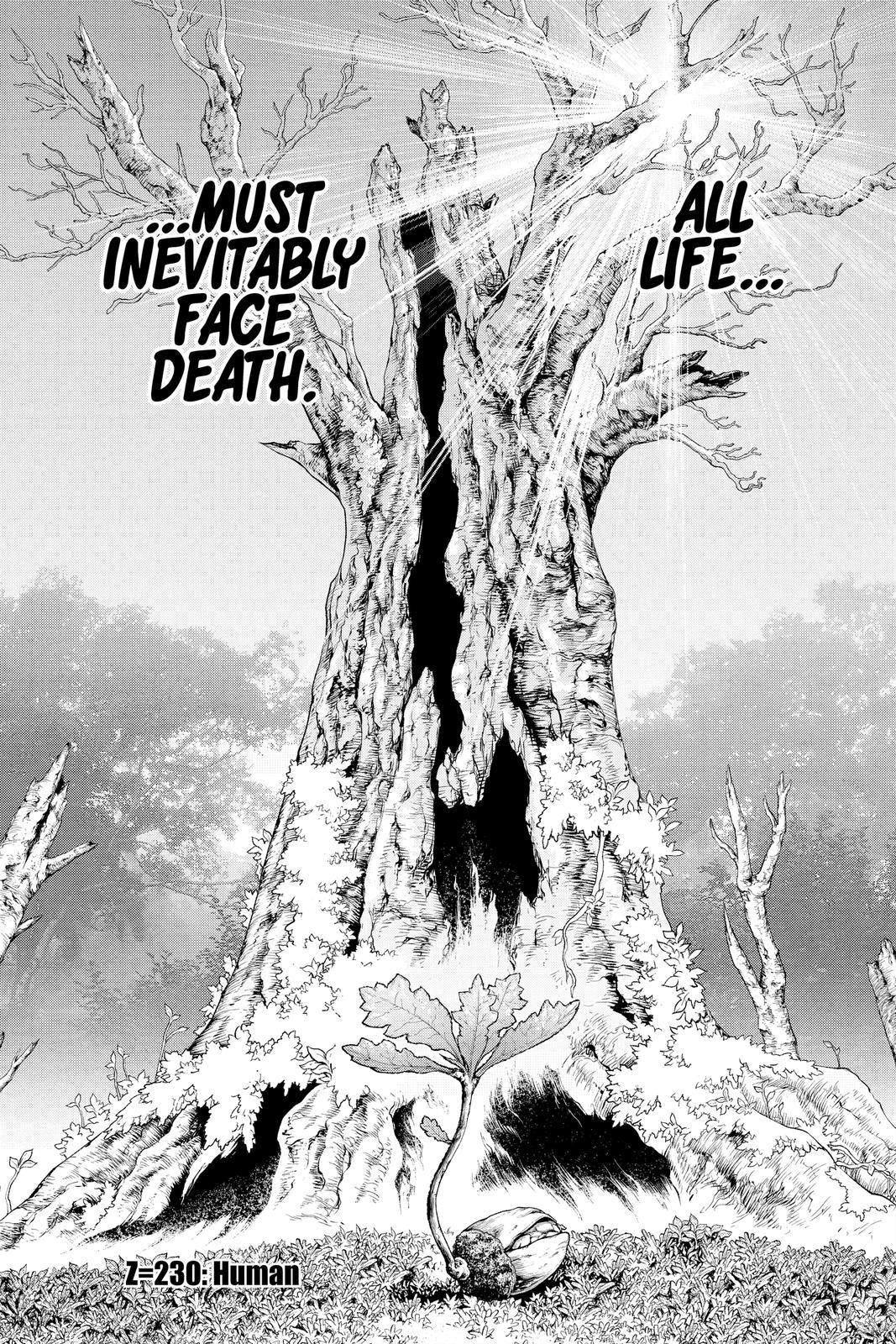 Read Dr STONE Manga Online