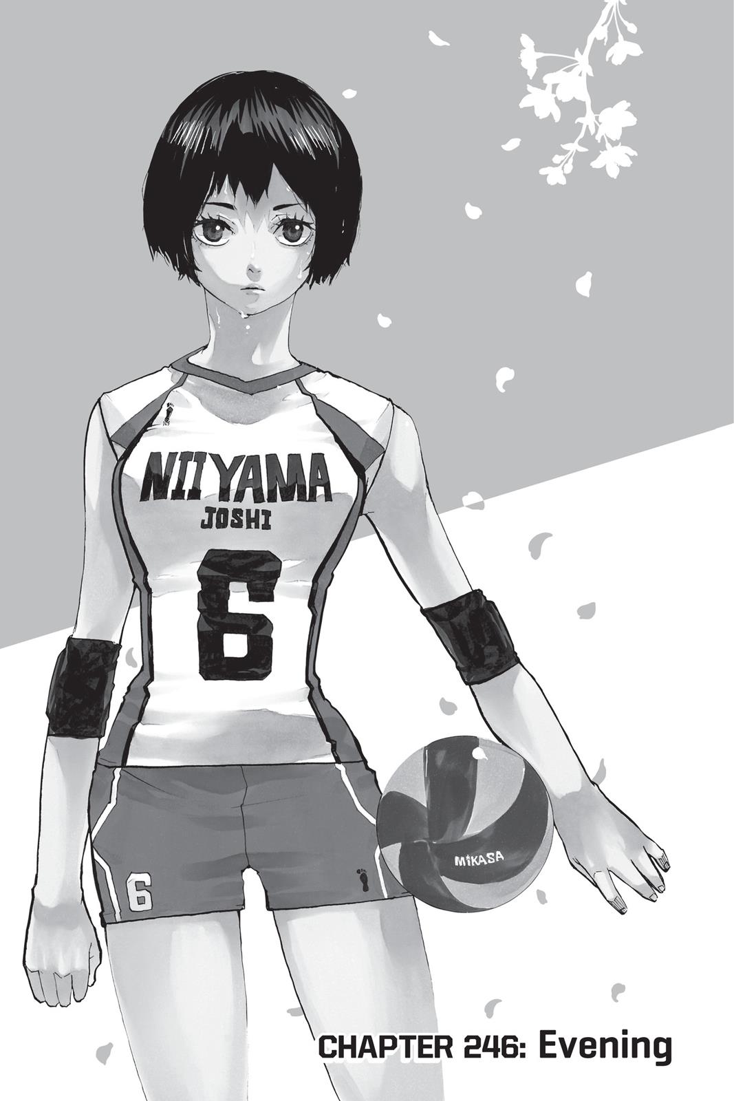 Read Haikyu Manga Online