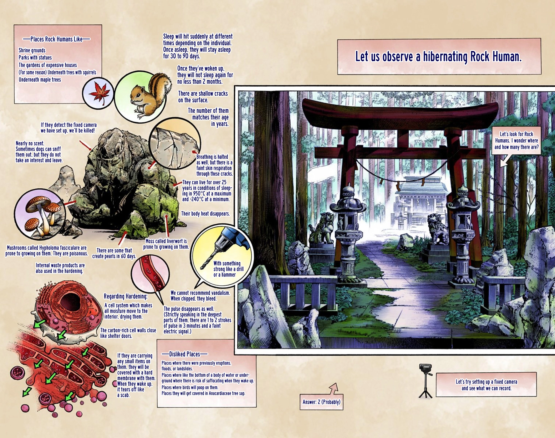 Read JoJolion Manga Online
